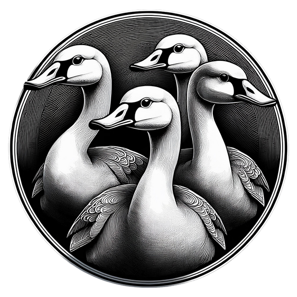 Four Geese Designs